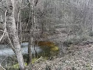Bates Gibson Rd, Sevierville, TN 37876