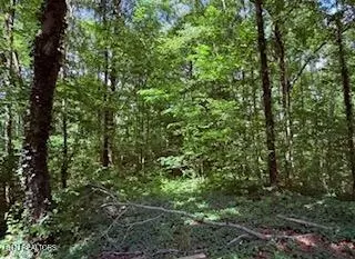 Bates Gibson Rd, Sevierville, TN 37876