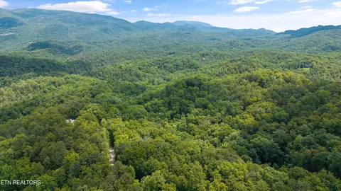 1618 Walnut Flats Rd, Walland, TN 37886