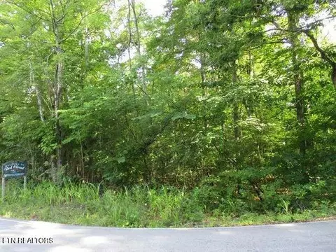 lot12 Red Cloud Rd, Ten Mile, TN 37880