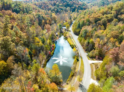 View/Area - 453 Mount John Loop, Townsend, TN 37882 photo 3 of 3