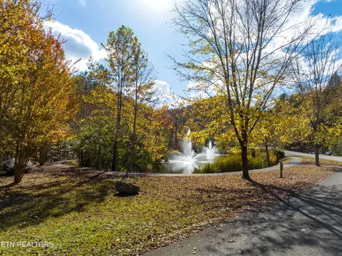 View/Area - 453 Mount John Loop, Townsend, TN 37882 photo 1 of 3