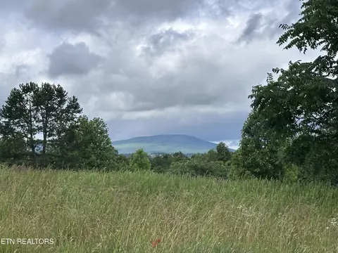 Tower Rd, Grandview, TN 37337