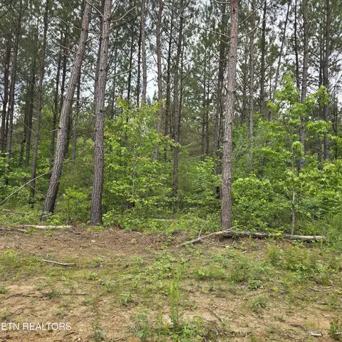 lot12 Holly Woods, Robbins, TN 37852