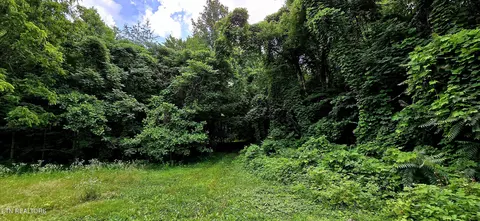 1580 Restful Way, Newport, TN 37821