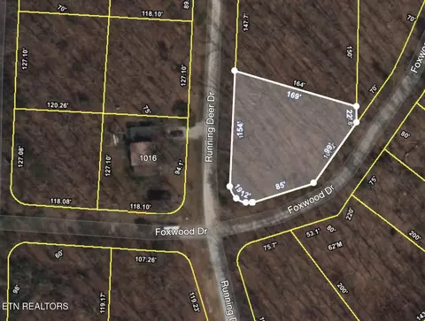 Running Deer, Crab Orchard, TN 37723