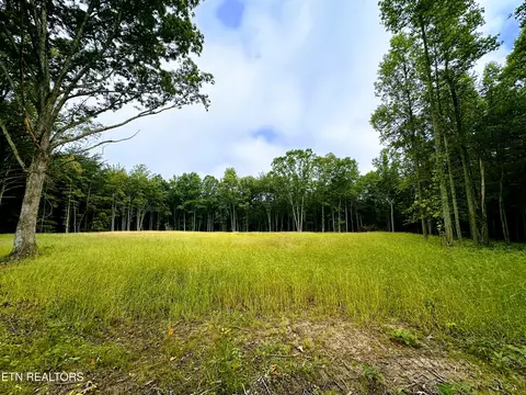 89 5 Ac Mose Beaty Rd, Jamestown, TN 38556
