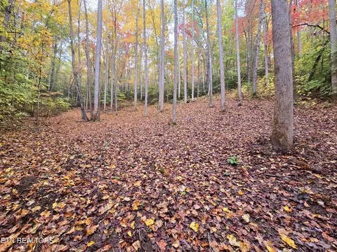 Cara Way, Cosby, TN 37722