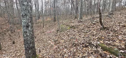 25 Down Pl, Monterey, TN 38574