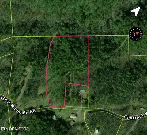 803 Chestnut Mountain Road Rd, Reliance, TN 37369