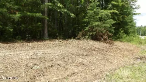 lot308 Hilltop Ln, Wilder, TN 38589