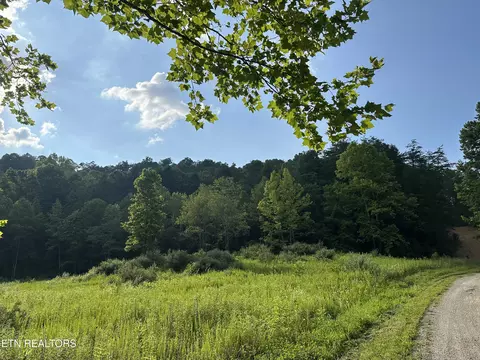 Doc Hollow Off Lowes Branch Rd, La Follette, TN 37766