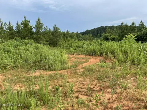lot51 Three Point Rd, Madisonville, TN 37354