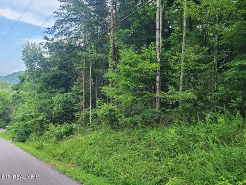 lot30 Hawkeye Vw, Sevierville, TN 37876