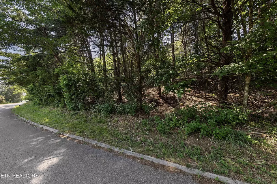  lot30 Harbour View Dr, Lenoir City, TN 37772 photo 6