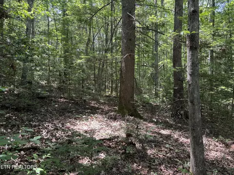 Rob Watson Rd, Oneida, TN 37841 photo 7
