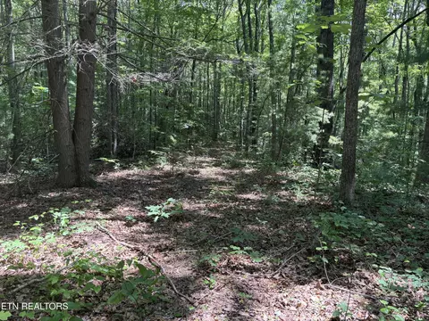 Rob Watson Rd, Oneida, TN 37841 photo 3