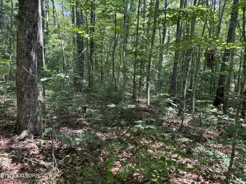 Rob Watson Rd, Oneida, TN 37841 photo 11