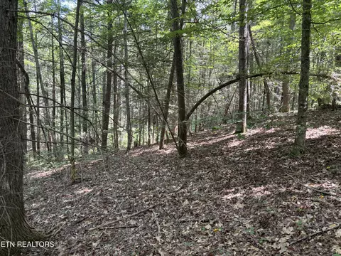 Rob Watson Rd, Oneida, TN 37841 photo 10