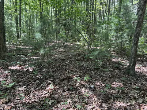 Rob Watson Rd, Oneida, TN 37841 photo 5