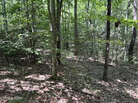 Rob Watson Rd, Oneida, TN 37841 photo 9