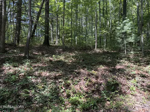 Rob Watson Rd, Oneida, TN 37841 photo 4