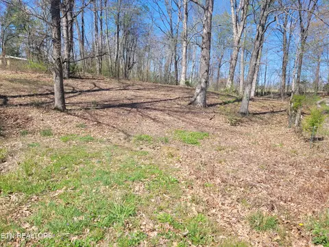 163 Claude Hargis Lane # 181, Crawford, TN 38554