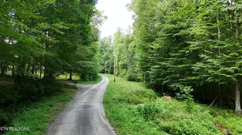 lot13 14 Clifton Cemetery Rd, Spring City, TN 37381