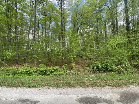 5054 Crazy Horse Dr, Crossville, TN 38572