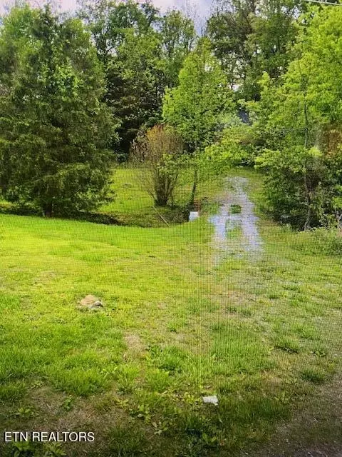 109 Greasy Cove Rd, Cosby, TN 37722