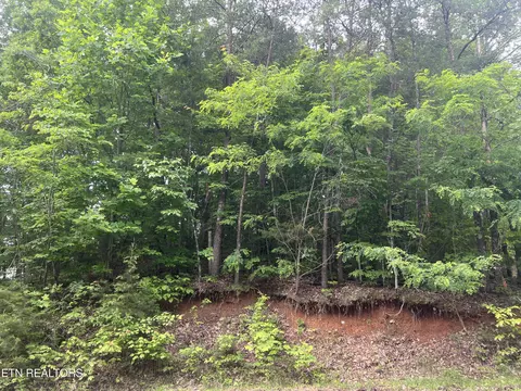 lot240 242 Laurel Mountain Rd, Madisonville, TN 37354