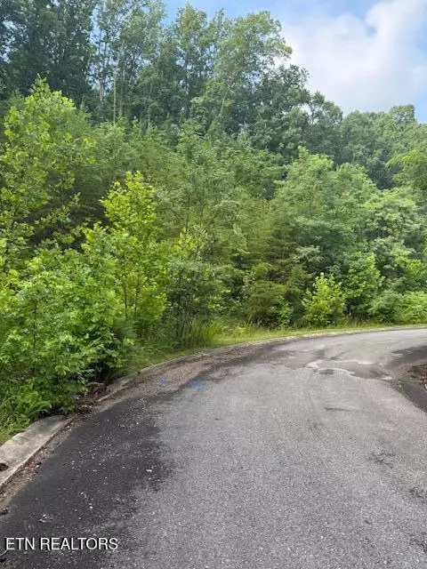 lot14 Woodland Creek Dr, Dandridge, TN 37725