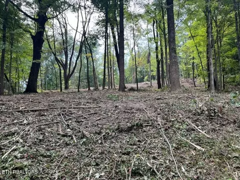 W Hemlock St, La Follette, TN 37766