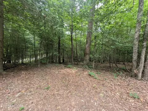 Model Farm Rd, Jamestown, TN 38556