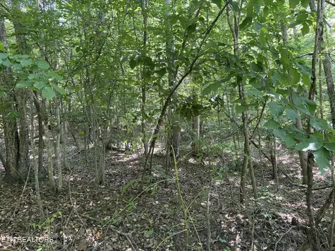 lot532 Whistle Valley Rd, New Tazewell, TN 37825