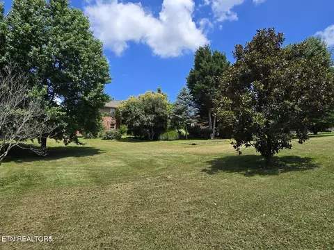 7329 Sweetbriar Dr, Talbott, TN 37877 photo 10