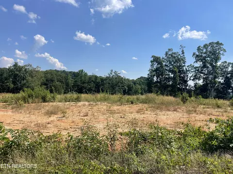 lot20 Laura Boling Loop Rd, Strawberry Plains, TN 37871