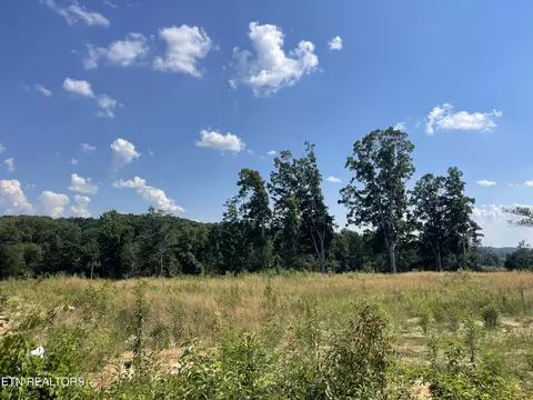 lot21 Laura Boling Loop Rd, Strawberry Plains, TN 37871