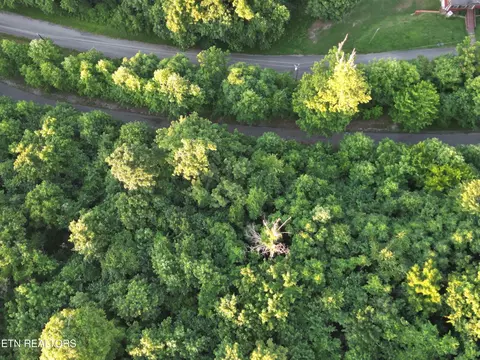 Eagles Cove Pkwy, Maynardville, TN 37807
