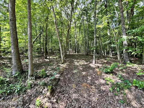 lot2 Raby Hollow Rd, Kingston, TN 37763