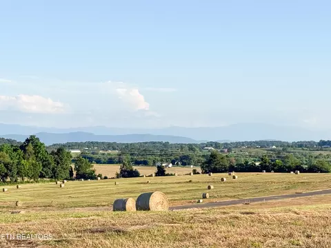lot10 Summerset Dr, Talbott, TN 37877