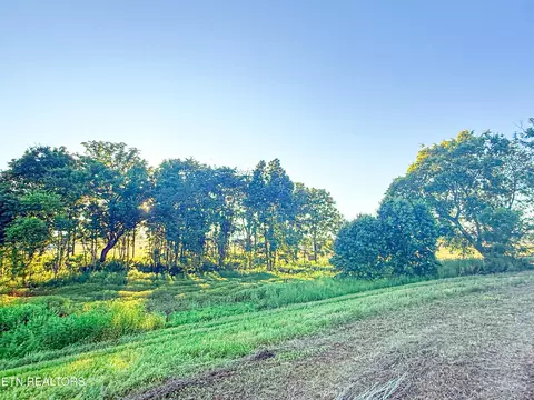 lot20 Summerset Dr, Talbott, TN 37877 photo 4