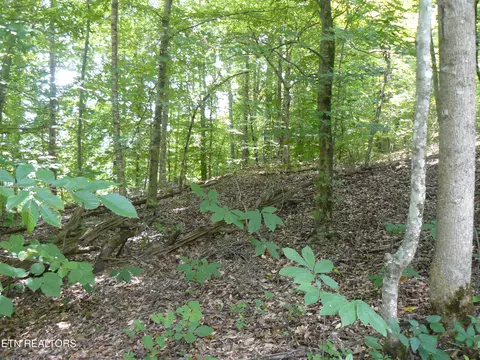 752 Tanglewood Road, Sharps Chapel, TN 37866