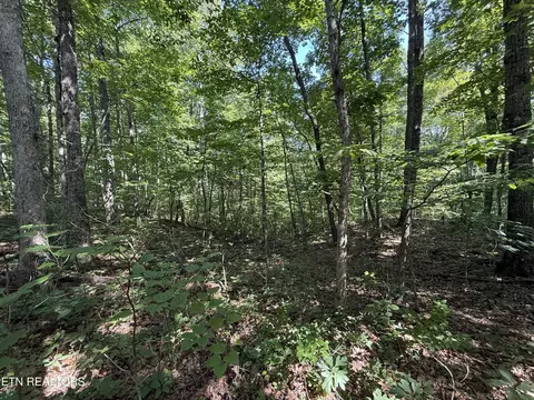 lot2 E Cove Rd, Monterey, TN 38574
