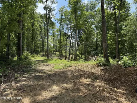 458 Nydeck Rd, Robbins, TN 37852 photo 1
