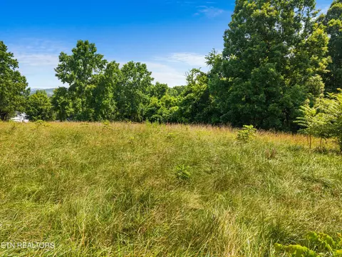 Pheasant View, Rutledge, TN 37861 photo 2