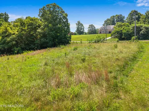 Pheasant View, Rutledge, TN 37861 photo 4