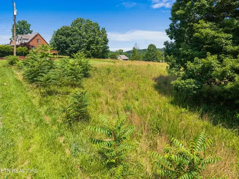 Pheasant View, Rutledge, TN 37861 photo 3