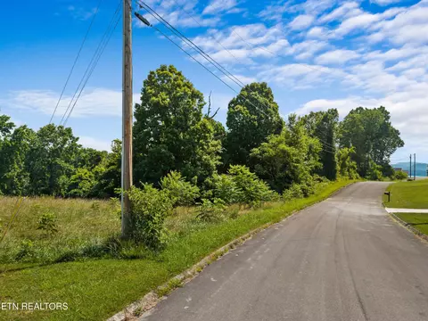 Pheasant View, Rutledge, TN 37861 photo 9