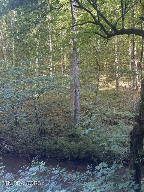 Lonesome Vally Rd, Tazewell, TN 37879